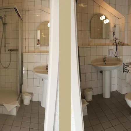 Hotel Alte Viehweide 3*