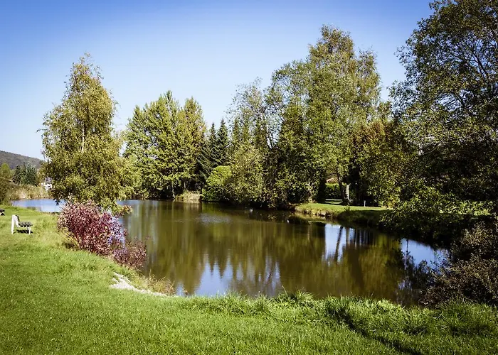 Hotell Alte Viehweide 3*